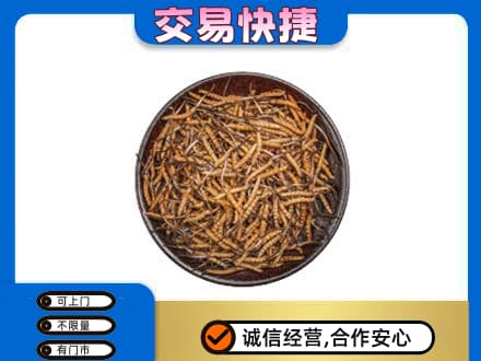 烟台高价回收散虫草